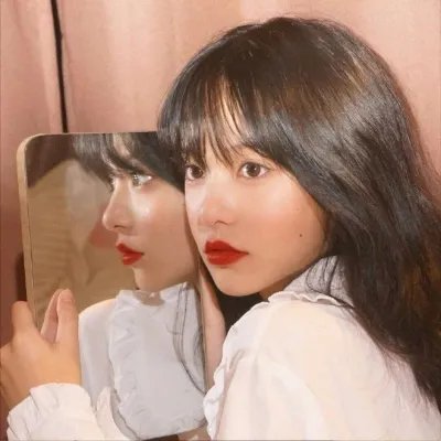 聪明的鸭子